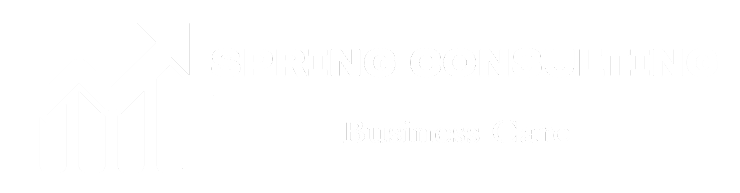 Spring Consulting | Consulenza Aziendale | Recovery Aziendale